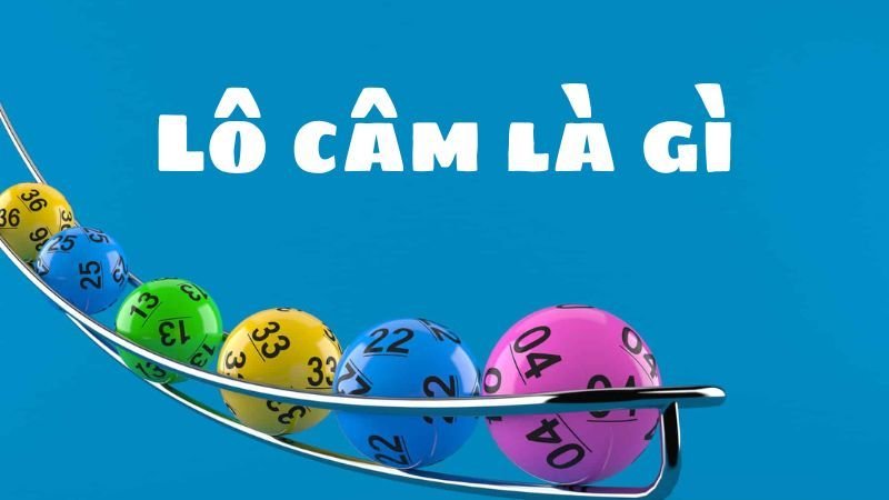 Lô câm là gì? Kinh nghiệm bắt lô câm tại BDVN luôn về